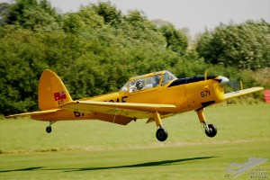 adsc_0007