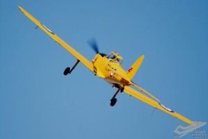 adsc_0010