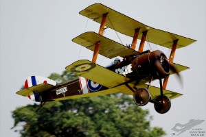 adsc_0053