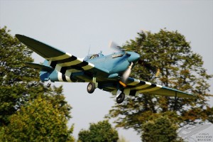 adsc_0317
