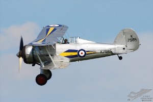 adsc_0331
