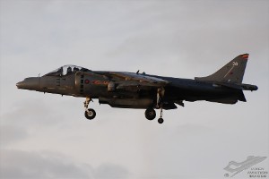dsc_0100a