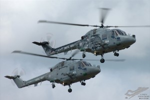 dsc_0156a