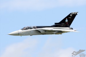 dsc_0344