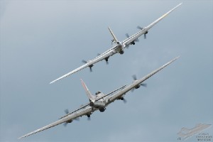 wdsc_0039