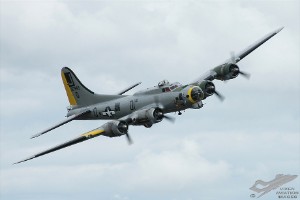 wdsc_0046
