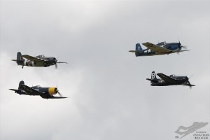 wdsc_0155