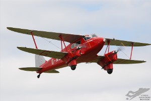 wdsc_0317