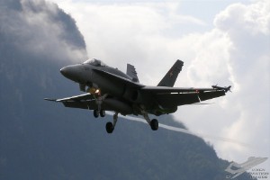 p9010667