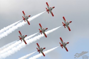 wdsc_0175