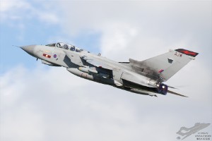 wdsc_0361