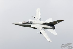 wdsc_0377