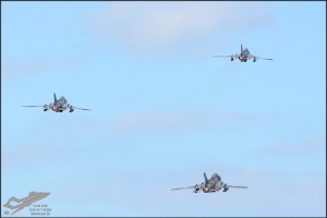 d7t_0314a