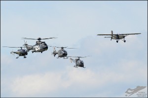 d7t_8770a
