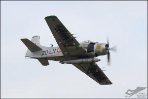 d7t_9179a