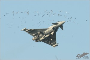 AKS_2695a