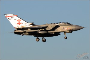D7T_1059a