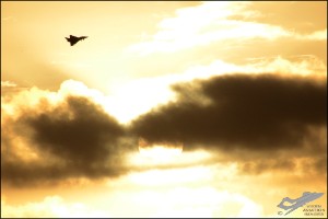 D7T_1222a