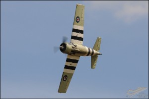 aks_0459a