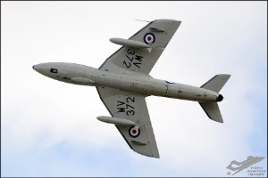 d7t_0356a