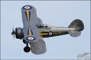 d7t_0793a
