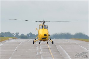 D7T_7478