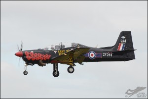 D7T_7491