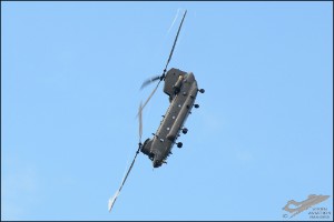 D7T_7545