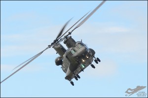 D7T_7599