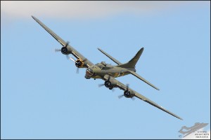 D7T_7821