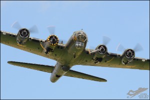 D7T_7823