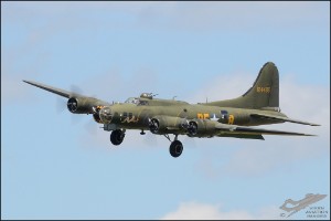 D7T_7832