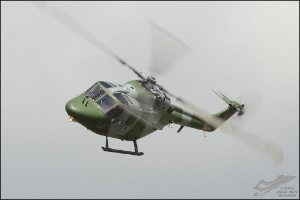 D7T_7884