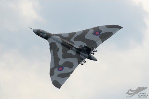 D7T_8013