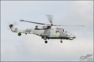 D7T_8195