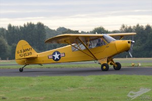 d7t_4446