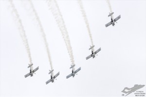 d7t_4480