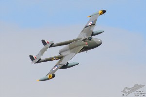 d7t_4620