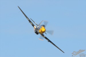 d7t_4804