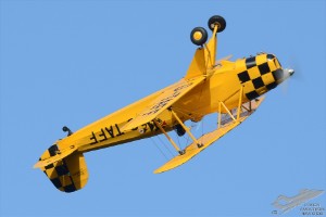 d7t_4813