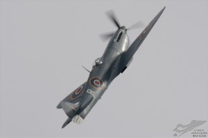 dsc_0103