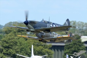 d7t_1281a
