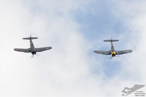 d7t_1483a