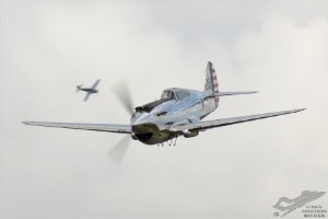 d7t_1599a