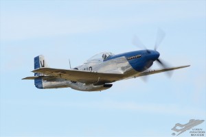 d7t_1686a