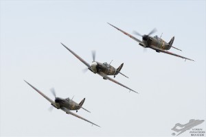 d7t_1829a