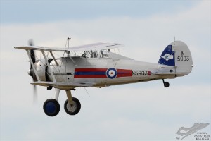 dsc_0008a