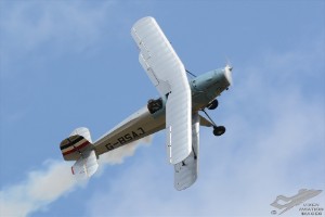 dsc_0016a