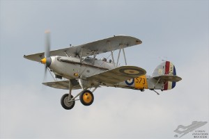 dsc_0051a
