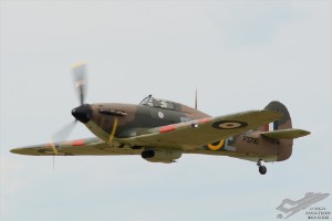 dsc_0078a